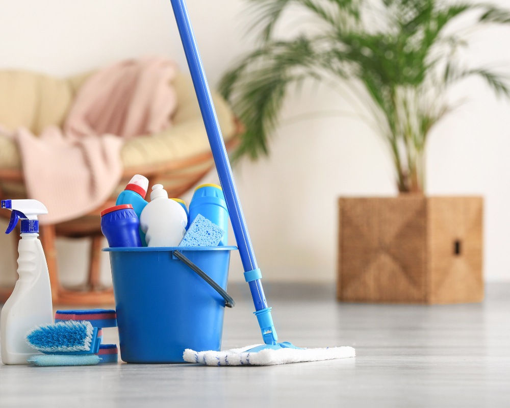 “Sweep, Scrub, Savor: Navigating the World of Home Cleanliness”